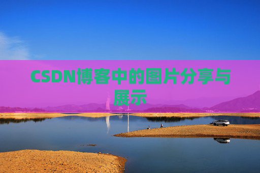 CSDN博客中的图片分享与展示